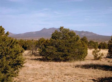 Lot112SPCEOrtizMountains