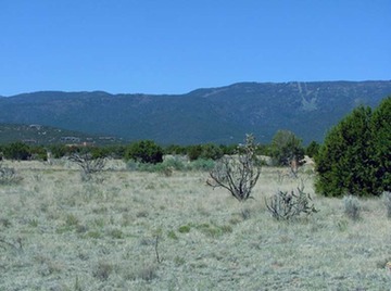 Lot156SPCESandiaMountains