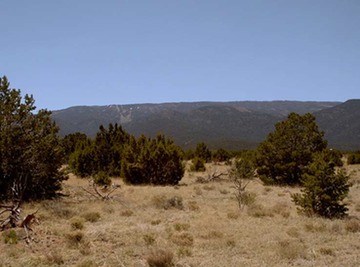 Lot174SPCESandiaMountains