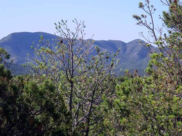 Lot56SPOSanPedroMountains