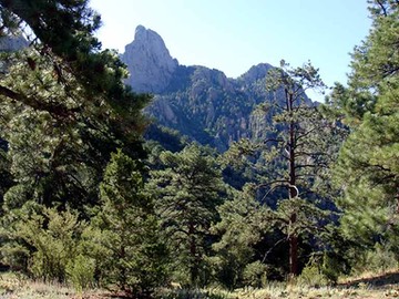 Sandias