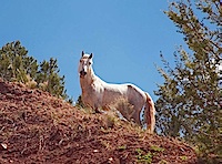 SanPedroOverlook