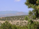 31-a