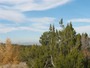 Bank Owned Land