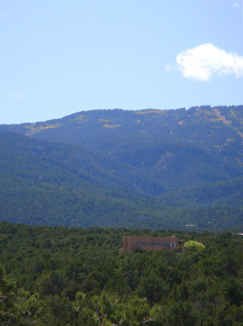 DistantView