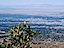 Albuquerque