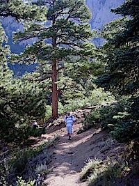 Hiking Albuquerque La Luz Trail