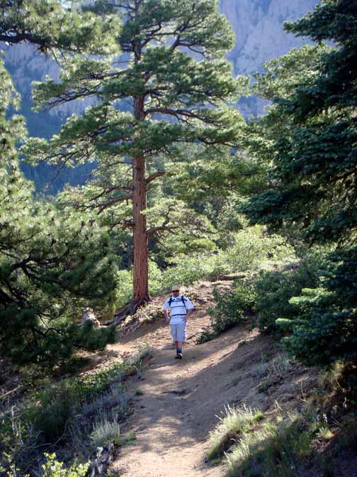 Albuquerque Hiking La Luz