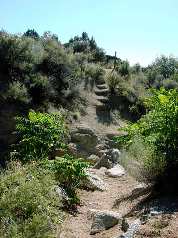 Hiking-Albuquerque-3