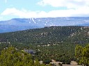 Land for sale NM