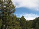 Land Foreclosure