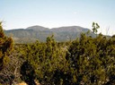 Lot 100 SPO South Mountain