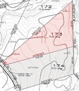 Lot 173 Phase III Topo