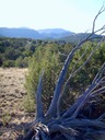 San Pedro Overlook Lot 29 Mountains & San Pedros