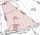 Lot 31 Phase II SPCE Topo