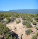 Lot 75 SPO West View