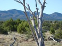 Lot 82 SPO East View of Monte Largo Mountains