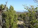 Lot 82 SPO North View of Jemez Mountains