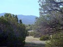 Lot 98 Phase I SPCE San Pedro Mountains