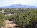 Lot 100 SPO Ortiz Mountains