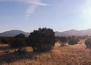 Lot 145 Phase III SPCE San Pedro Mountains