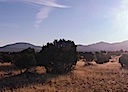 Lot 145 Phase III SPCE San Pedro Mountains
