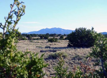 San Pedro Ceek Estates Lot 145 Phase III Ortiz