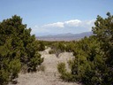Lot 85 Phase III SPCE Sangre de Cristo Mountains