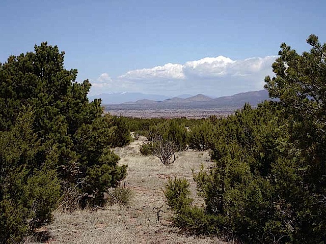 Lot85Phase-III-SPCENorthEast
