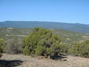 Lot 56 SPO Sandia Mountains #2