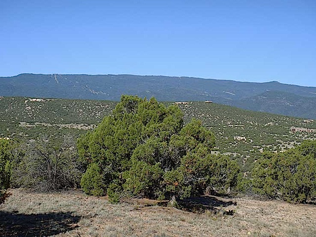 Lot56SPOSandia-Mountains2