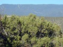 Lot 56 SPO Sandia Mountains