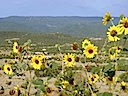 Lot 62 Phase II SPCE Sandia Mountains