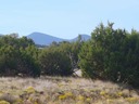 Lot 62 Phase II SPCE Monte Largo Mountains