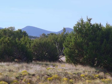 Lot 62 Phase II SPCE Monte Largo Mountains