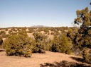 Lot 68 SPO Ortiz Mountains