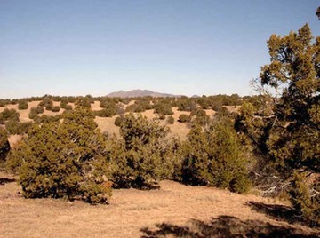 Lot 68 SPO Ortiz Mountains