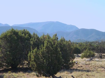 Lot 80 SPO South Mountain