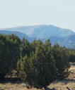 Lot 82 SPO South Mountain