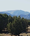 Lot 82 SPO South Mountain