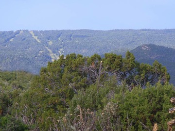 Lot 85 Phase III Sandia Mountains