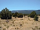 Lot 90 Phase III SPCE Sandia Mountains