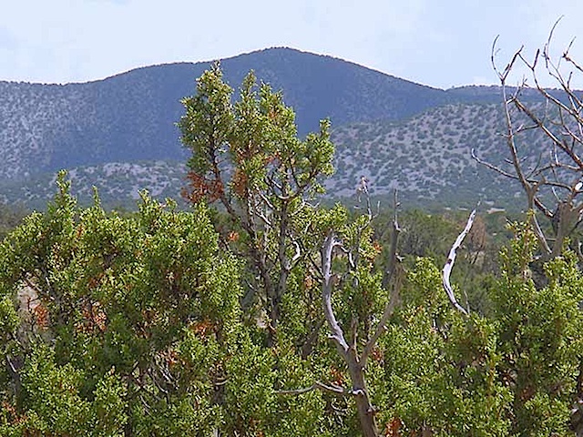 Lot-100-SPO-San-Pedros