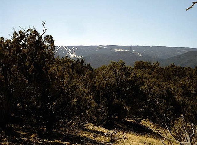 Lot-100SPO-Sandias