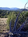 San Pedro Overlook Lot 29 Mountains & San Pedros