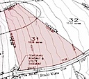 Lot 31 Phase II SPCE Topo