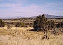 Lot 31 Phase II SPCE Ortiz & Sangre de Cristo Mountains