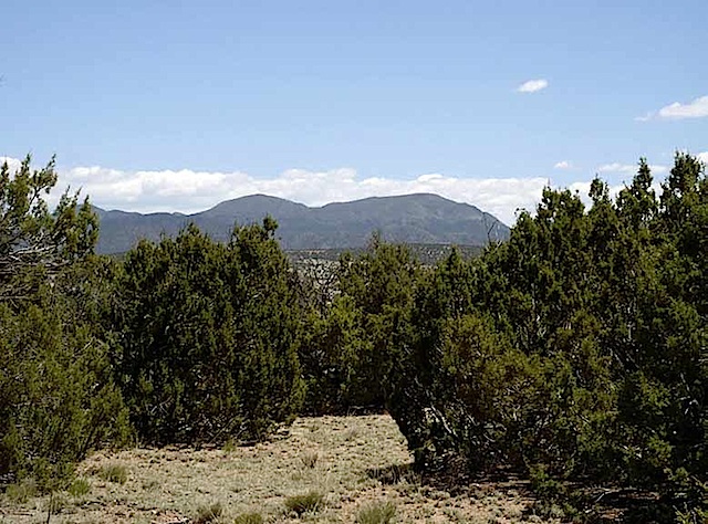 Lot-85-Phase-II-East-View