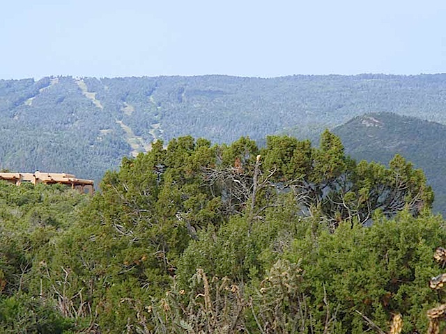Lot-38-SPCE-Sandias