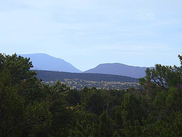Lot-38-SPCE-South-&-Monte
